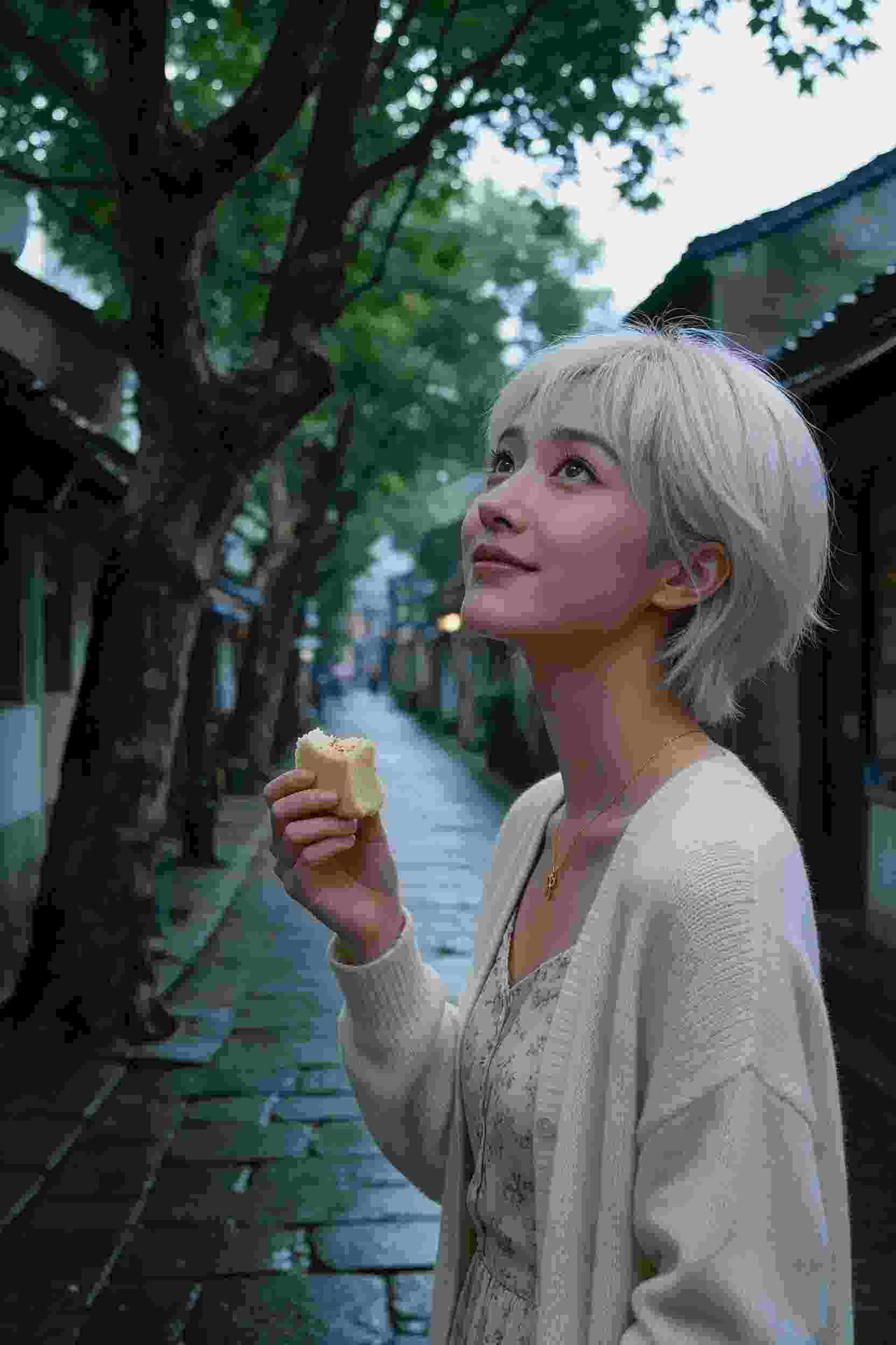 梦幻世界